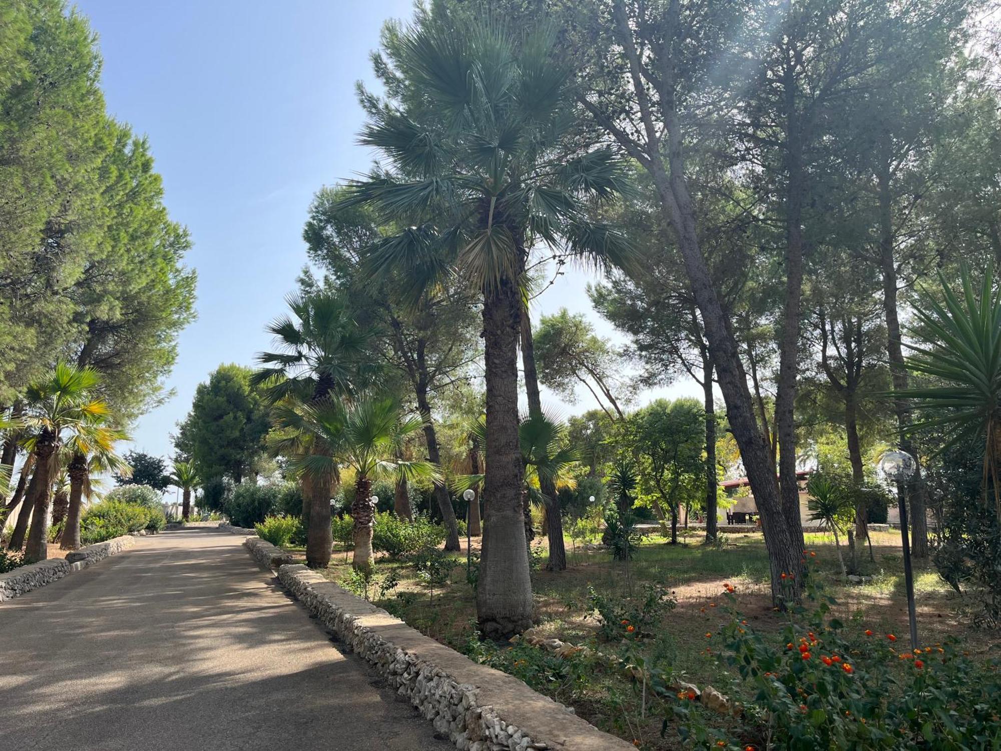 Casette Masseria La Camardia Sava 外观 照片