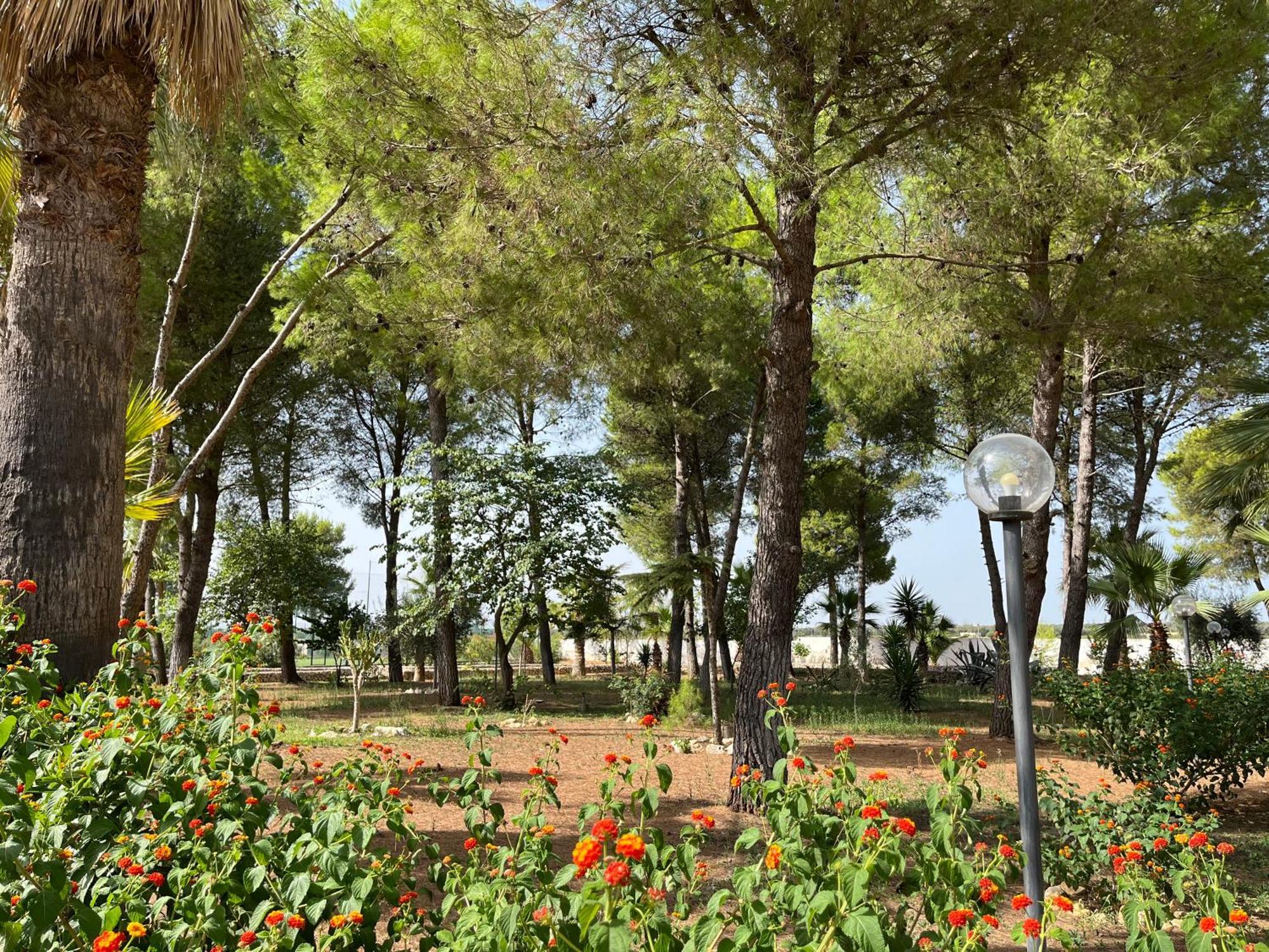 Casette Masseria La Camardia Sava 外观 照片